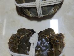 -阳澄湖大闸蟹·琼灵阁牌品牌连锁(吴中总店)