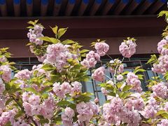 -北京鲁迅博物馆(北京新文化运动纪念馆鲁博馆区)