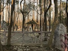 -昆山城市生态森林公园