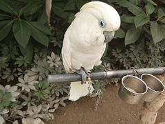 -南宫五洲植物乐园