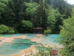 -黄龙山原始森林景区