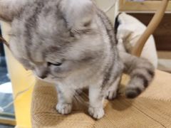 -冰拾叁(新都店)