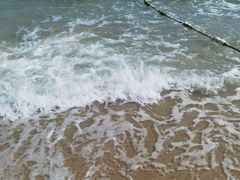 -西涌国际滨海旅游区