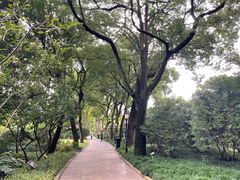 -上海醉白池公园
