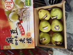 -西郊国际农产品交易中心