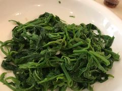 盐水桑叶-将军烧鹅海鲜酒楼