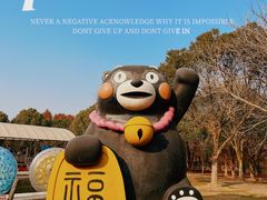 -上海海湾国家森林公园