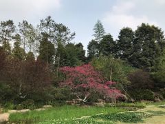 -秀丽东方