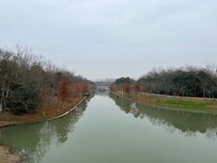 -上海海湾国家森林公园