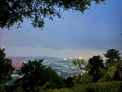 -铁山坪森林公园