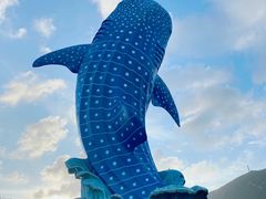 -珠海长隆海洋王国