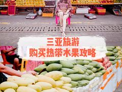 -三亚新鸿港水果一级批发市场