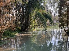 -桤木河湿地公园