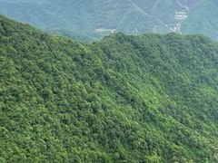 -午潮山国家森林公园