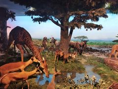 -国家自然博物馆