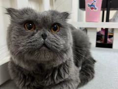 -百岁鱼(人民路店)