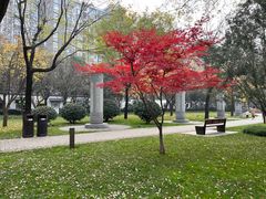 -唐城墙遗址公园