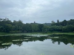 -广州雕塑公园