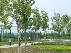 -瀛海足球主题公园