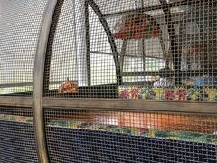 -嘉禾·悦享餐厅(八方汇店)