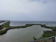 -盐城丹顶鹤湿地生态旅游区