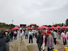 -曹州牡丹园