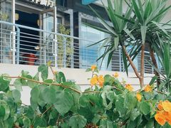 -观海轩餐厅(一线海景店)