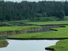 -溱湖国家湿地公园