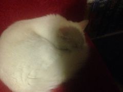 iphone_upload_pic-游人馆·桌游狼人杀团建馆(人广书城店)