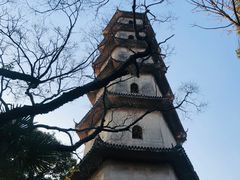-江心屿景区