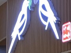 -鹊茶咖啡•新中式(深圳首店)