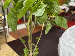 -师傅仔美食(东华老店)