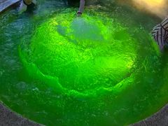 -春晖园度假酒店温泉