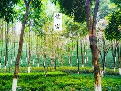 -龙头寺公园