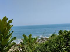 -广东惠东海龟国家级自然保护区