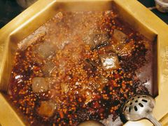 -蜀九香火锅(彩虹店)