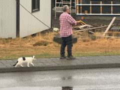 -Pakkhús Restaurant