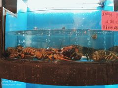 -苏浙徽·农家大院(开发区星湖101店)