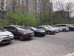 -蓝天国际游泳培训基地(华腾园店)