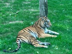 -北京野生动物园