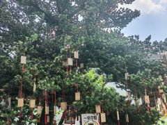 -东山雕花楼