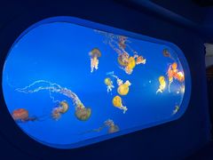 -太平洋海底世界