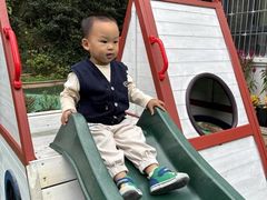 -杭州龙井幼儿园