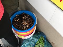 -阿麟馄饨(延长路店)