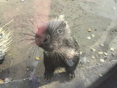 -青藏高原野生动物园