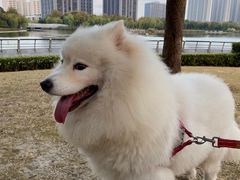 -南翔镇银翔湖公园
