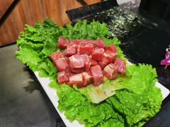 -杨记齐齐哈尔烤肉(五莲路店)