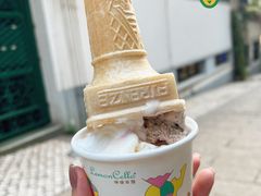-柠檬车露(卖草地店)
