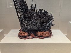 -安徽省地质博物馆