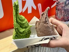 -野人先生现做冰淇淋(西安赛格店)